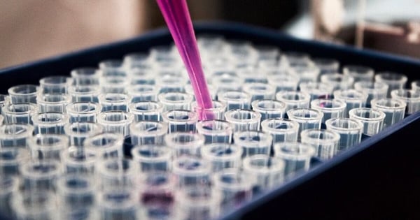 Forscherin analysiert Daten zu KI und sozialer Interaktion im Alter