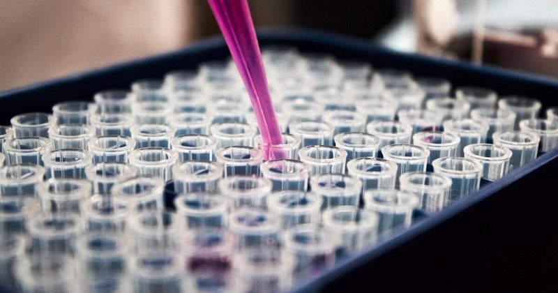 Scientific research on AI and loneliness